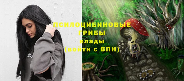 мяу мяу кристалл Бородино