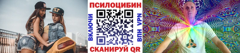где можно купить   Чебоксары  Псилоцибиновые грибы Psilocybine cubensis 